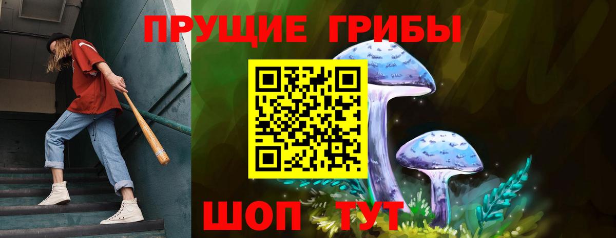 Воткинск  Галлюциногенные грибы Psilocybe  Вход с VPN  Галлюциногенные грибы прущие грибы 